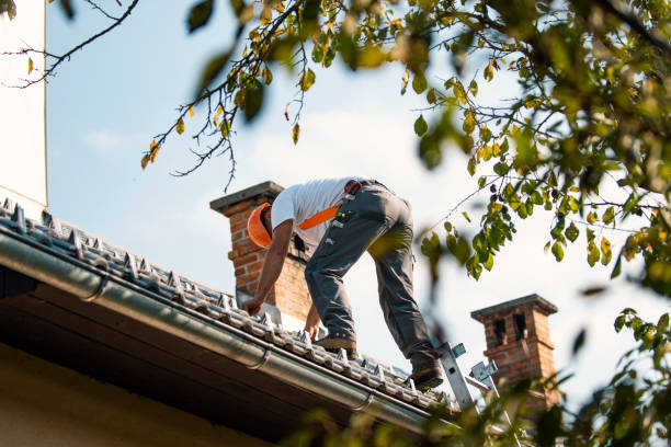Best Commercial Roofing Services  in Wixom, MI