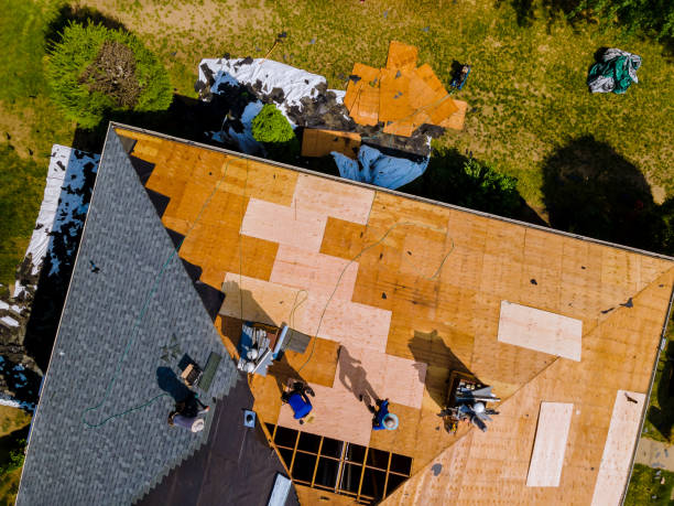 Best Roof Waterproofing Services  in Wixom, MI